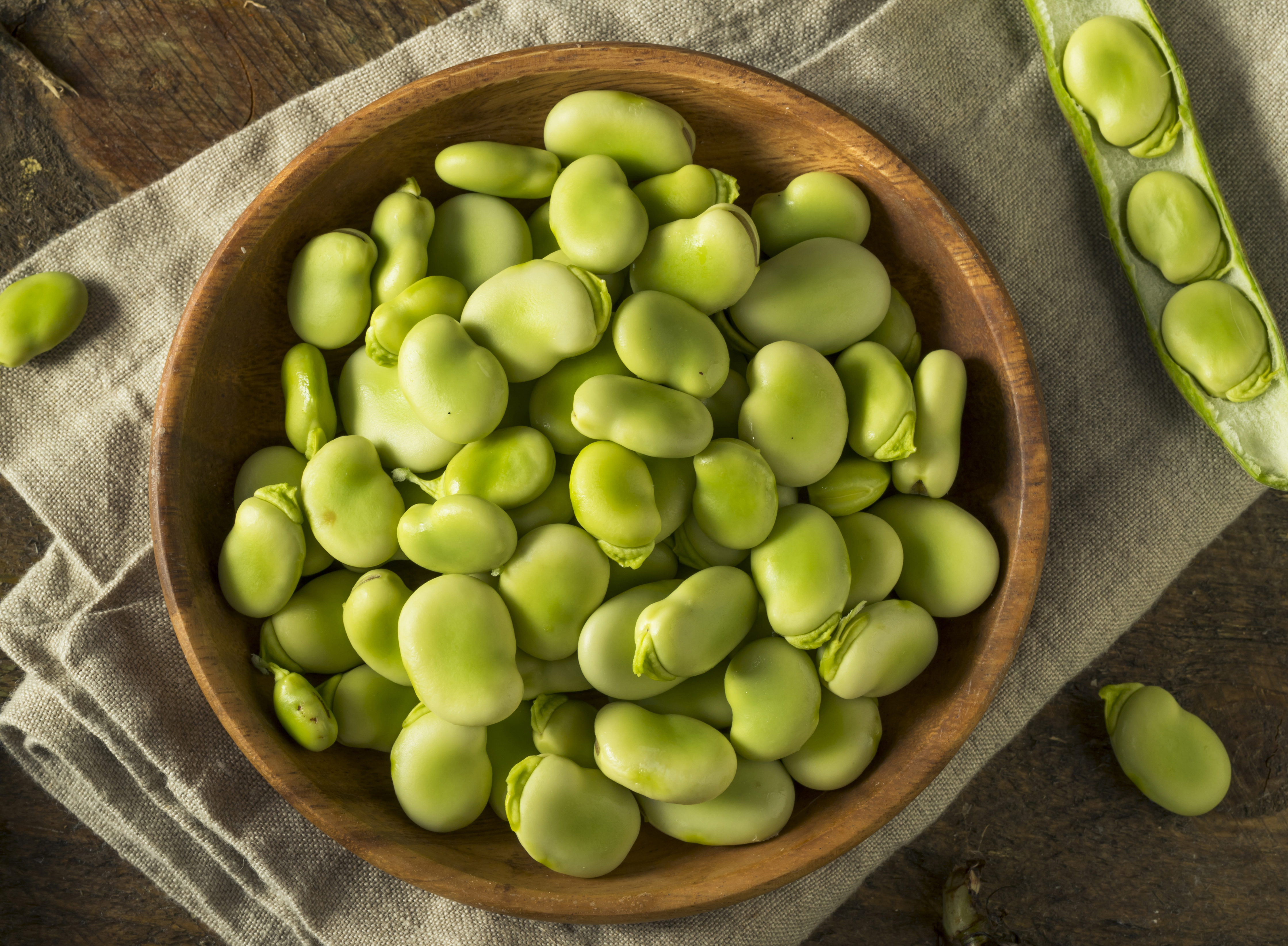 Raw Organic Fresh Green Fava Beans - PARAGON